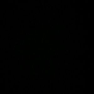 Meet your Posher, Carl